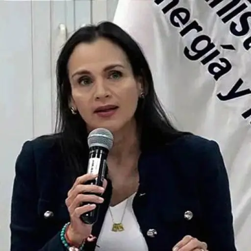 Revolución Ciudadana insiste en juicio político a exministra Inés Manzano por contratos de Progen