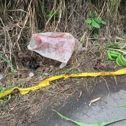 Santo Domingo: Hombre fue hallado sin vida con heridas de arma blanca en la vía Las Mercedes