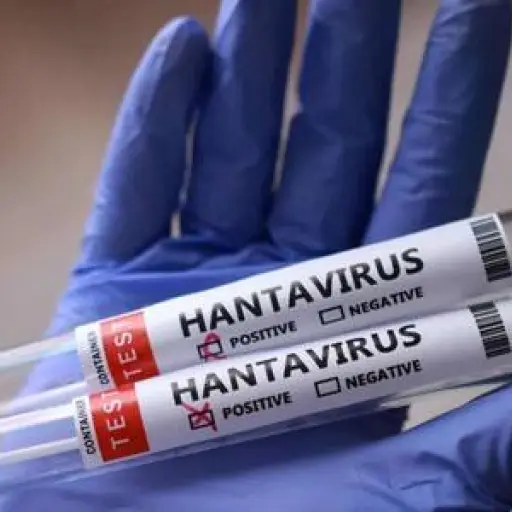 España, Francia y Países Bajos reciben un antiviral experimental japonés contra el hantavirus