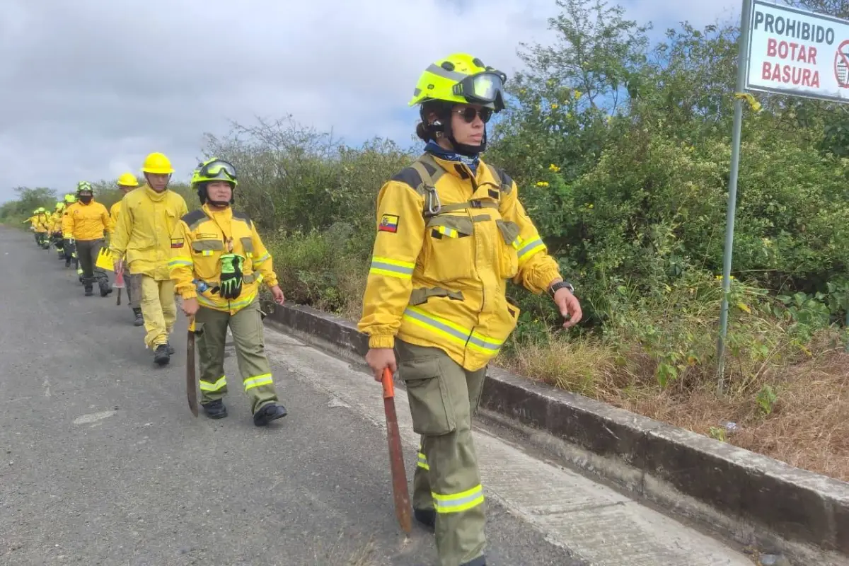 Bomberos de 12 cantones de Manabí participaron del simulacro de incendios forestales en El Aromo., El Diario