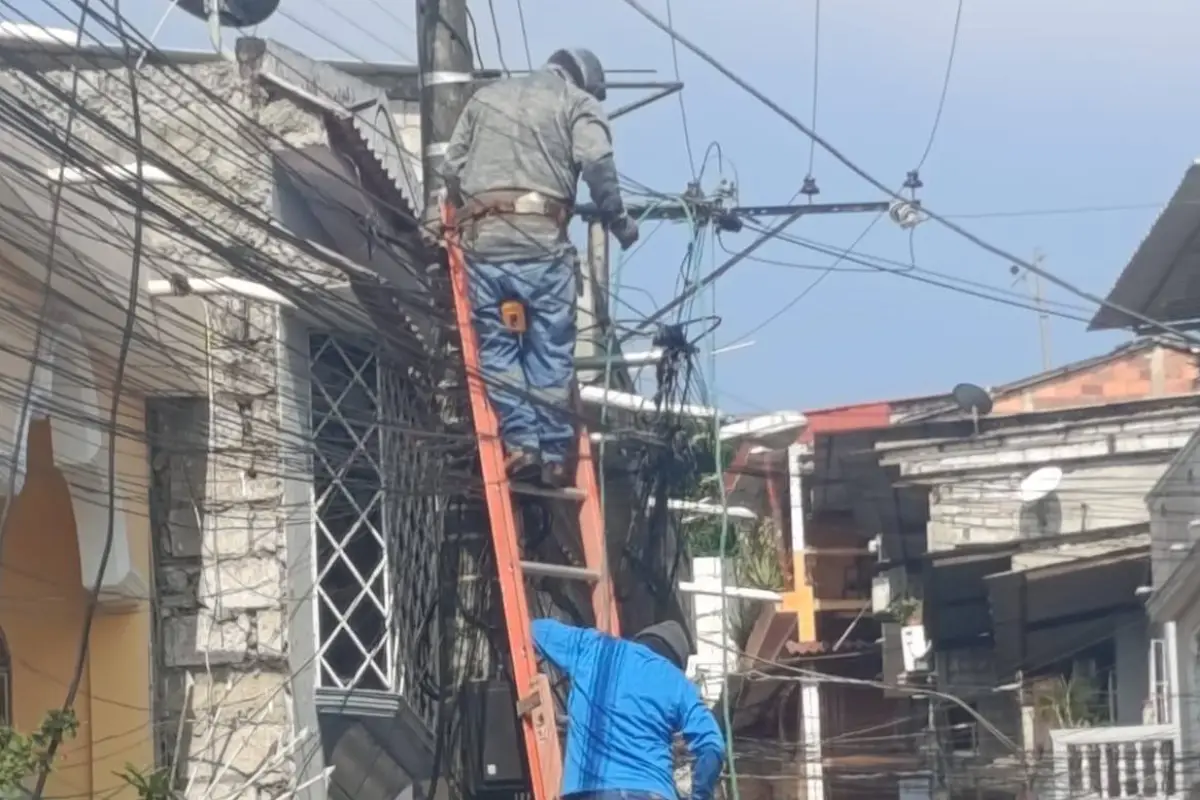 Cámaras