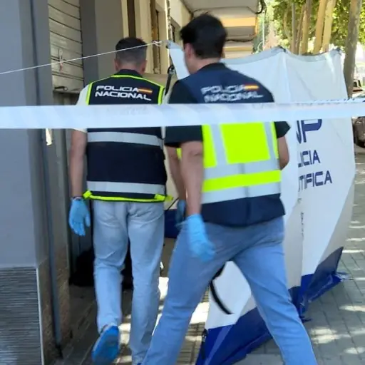 Confesó todo a la Policía: Joven asesinó al logopeda de su hijo tras supuesto abuso sexual, en España 