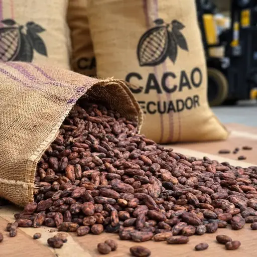 Exportaciones de cacao en Ecuador caen 59 % entre enero y abril de 2026, según Fedexpor