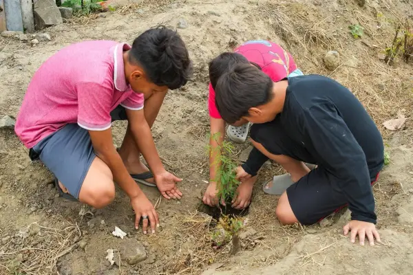 Manta avanza en reforestación: 1.150 árboles plantados y donados en 2026. ,El Diario