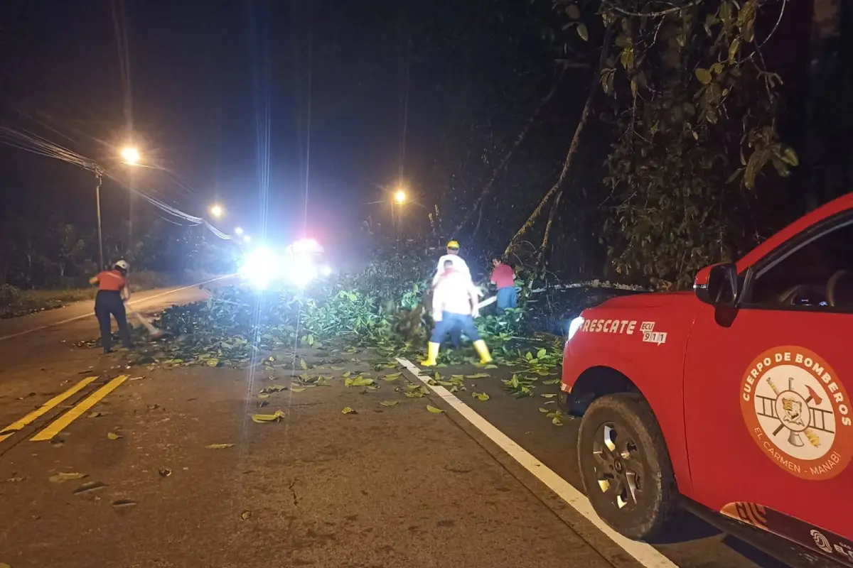 El árbol que interrumpió el flujo vehícular en la vía El Carmen-Chone, Redes