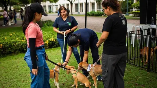 ProAnimal ha intervenido en favor de 531 animales en Guayaquil durante 2026