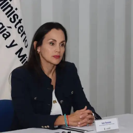 Bancada de la Revolución Ciudadana presenta un nuevo juicio político contra Inés Manzano por el caso ATM