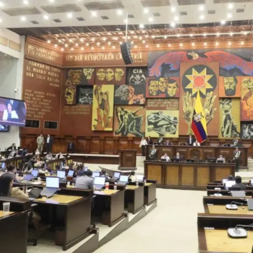 ¿Qué cambiaría para los adolescentes infractores en Ecuador? Esto se analiza en el Legislativo