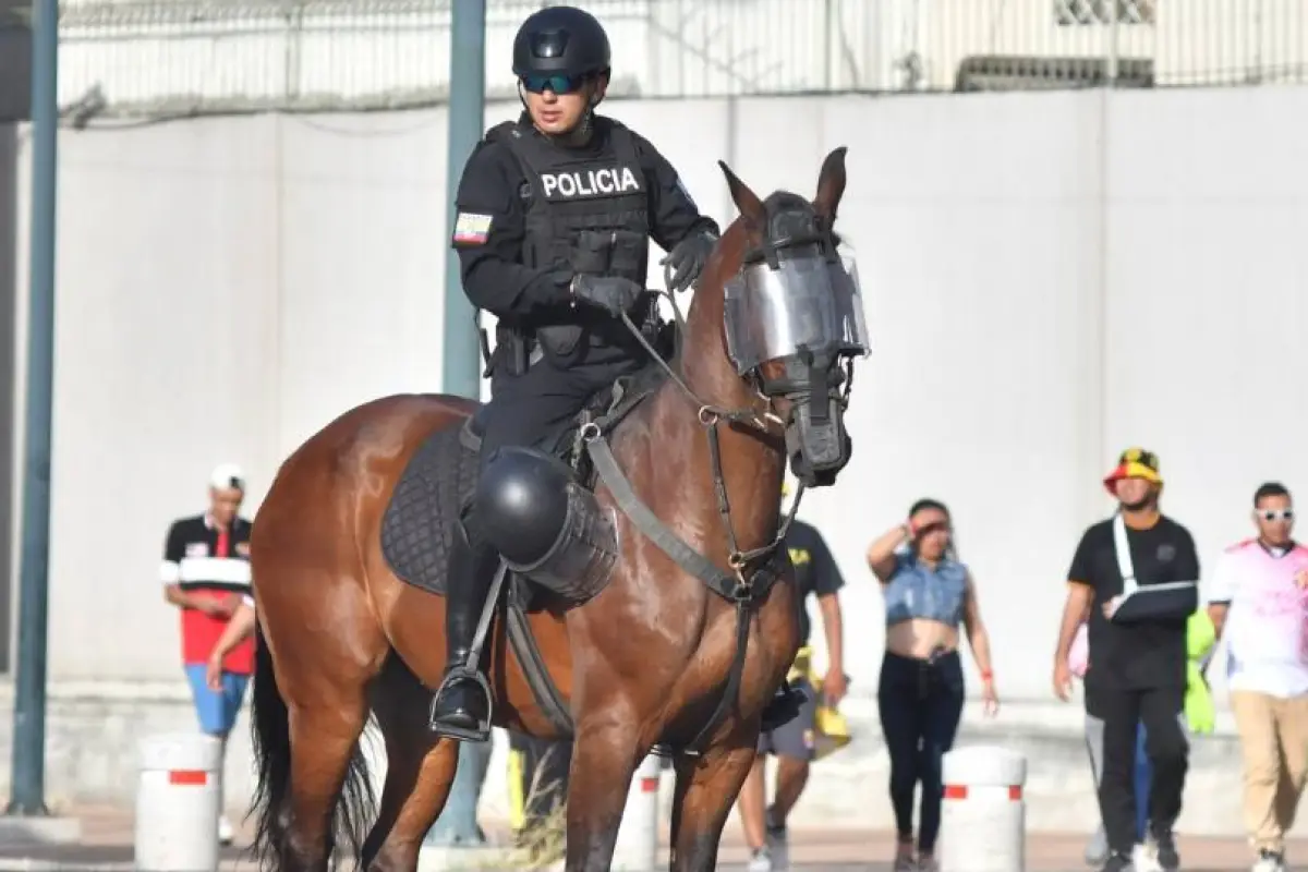 Salarios de policías en Ecuador: Tienen sueldos de entre 933 y 5111 dólares.