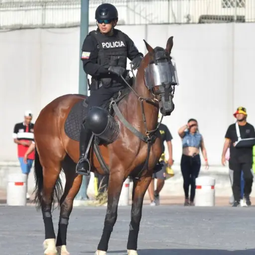 Salarios de policías en Ecuador: Tienen sueldos de entre 933 y 5111 dólares