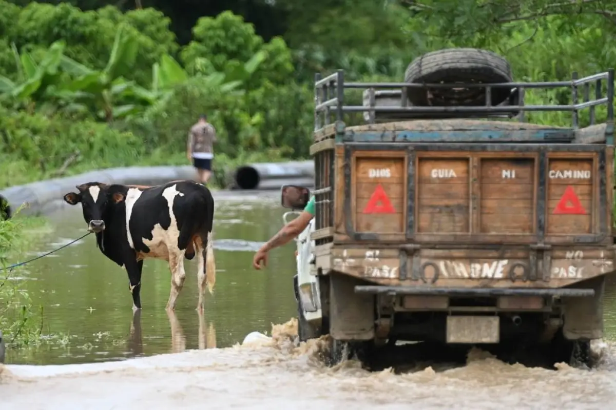 BanEcuador dispone de 253 millones de dólares ante la llegada del fenómeno El Niño.