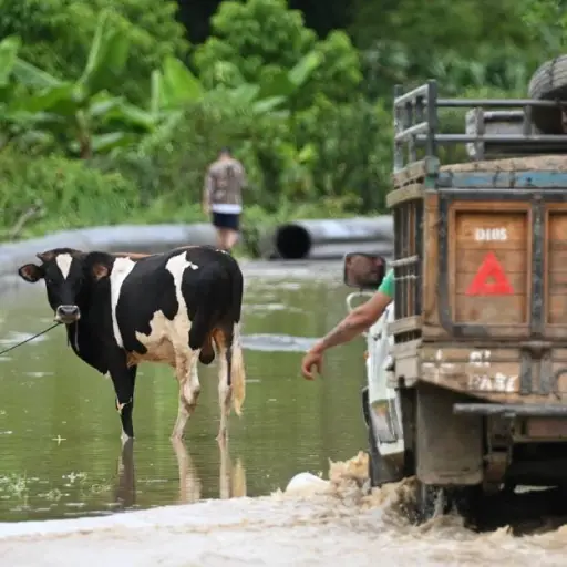 BanEcuador dispone de 253 millones de dólares ante la llegada del fenómeno El Niño