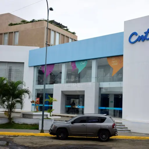 Gremio de ingenieros cuestiona doble cargo del director regional de CNT