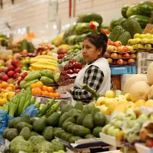 INEC registra inflación de -0,62 % en mayo impulsada por bajas en electricidad y alimentos