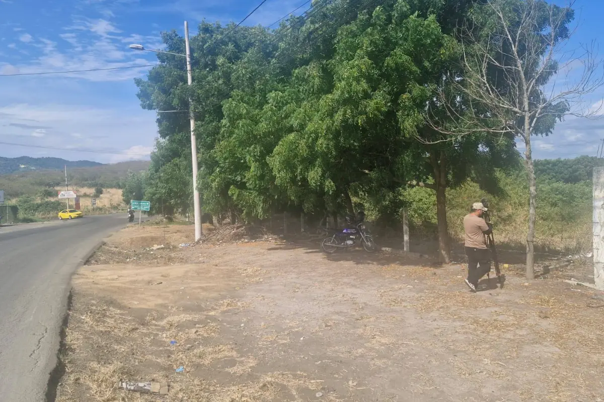 MONTECRISTI