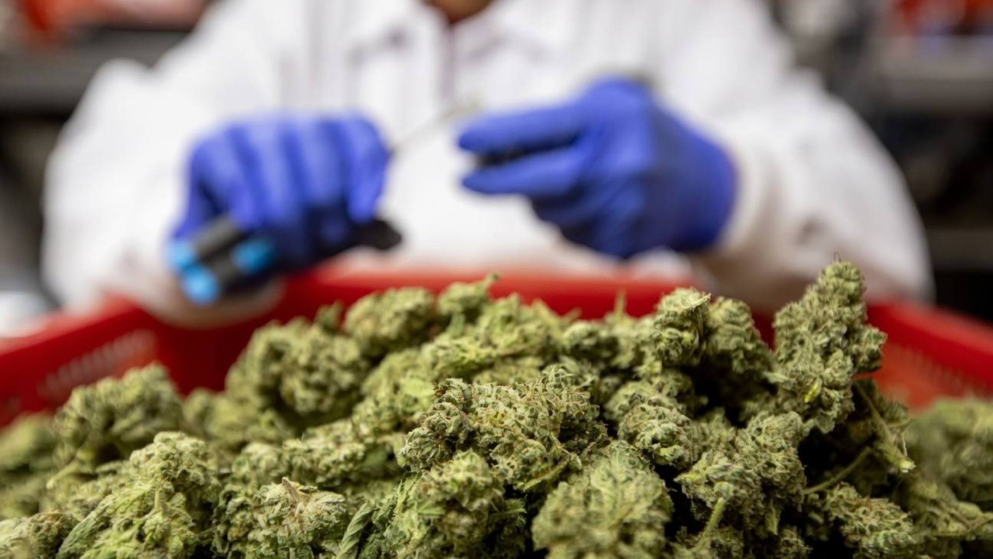 Condenado a 19 años de cárcel por vender drogas en pleno cen