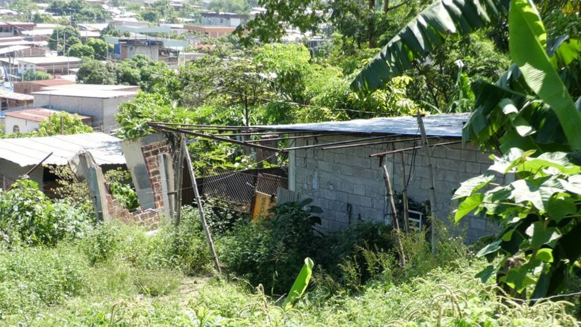 En noviembre iniciará la construcción de 100 viviendas para 