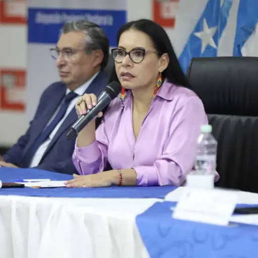 CNE sesionará para definir quién ejerce la representación legal y administrativa del organismo