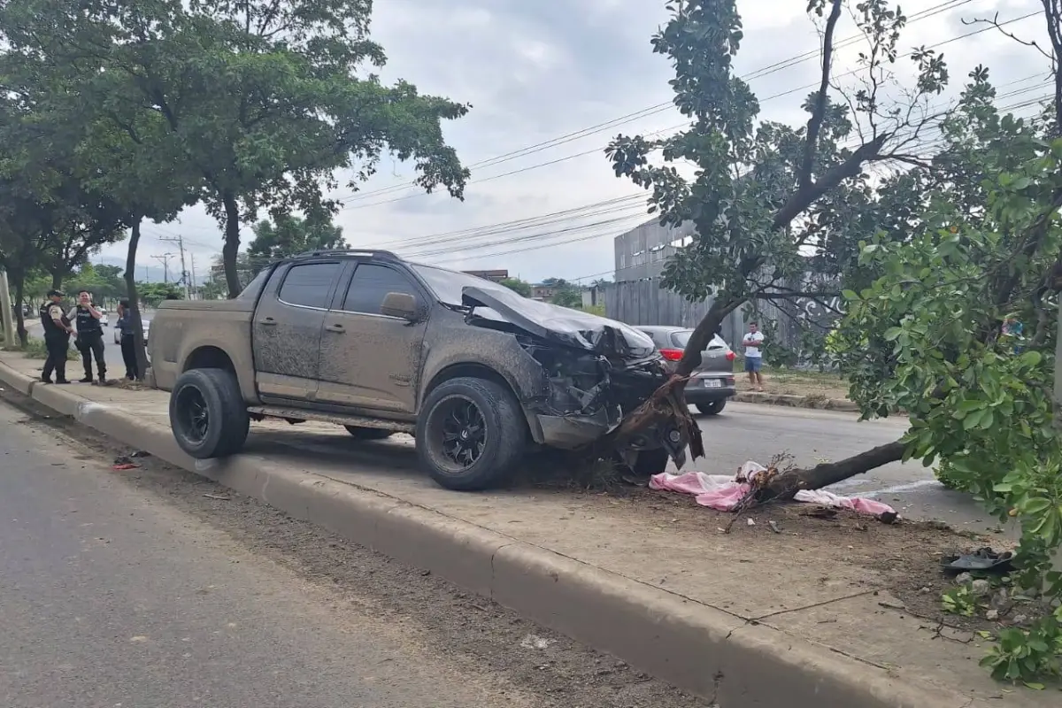 El cuerpo de la mujer quedó junto a la camioneta que la embistió., El Diario