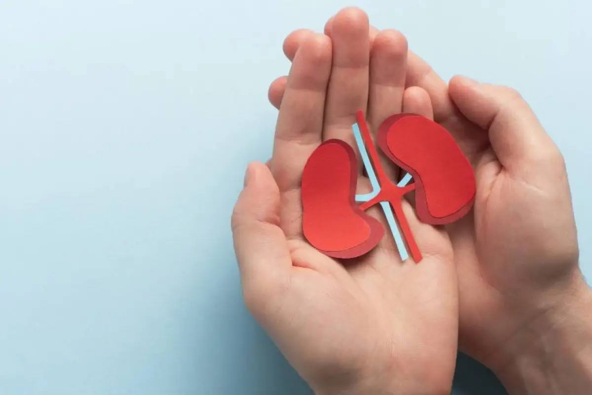 A nivel mundial, la Enfermedad Renal Crónica (ERC) afecta a más de 850 millones de personas. 