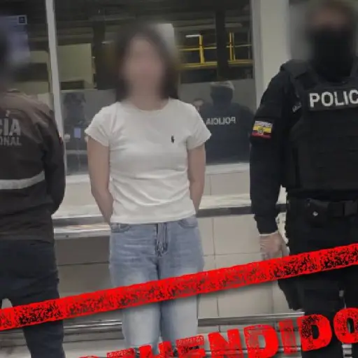 Operativo en aeropuerto y Mapasingue permitió retener 658 pepinos de mar y aprehender a cuatro sospechosos