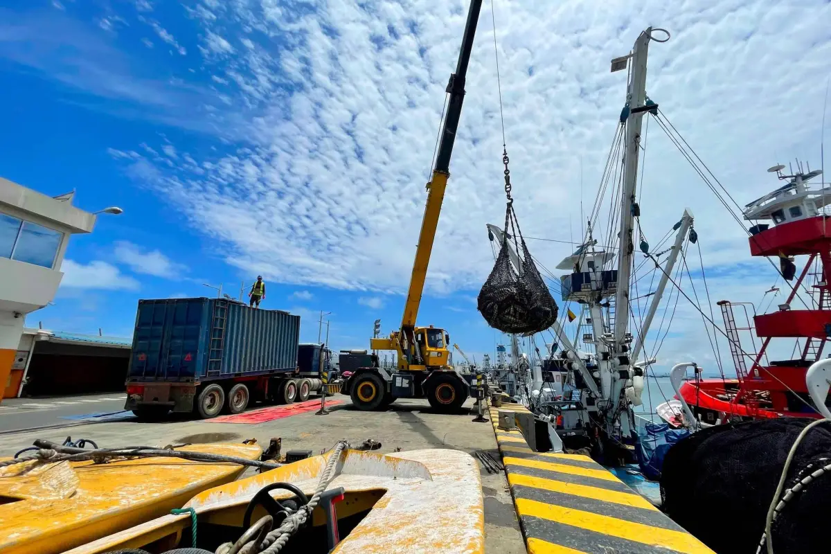 La industria pesquera de Manta se mueve a través del Terminal Pesquero y Cabotaje., El Diario