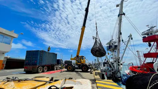 Autoridad Portuaria avanza en mejoras del terminal pesquero y gestiones para reconstrucción