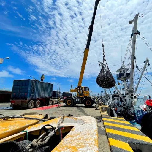 Autoridad Portuaria avanza en mejoras del terminal pesquero y gestiones para reconstrucción