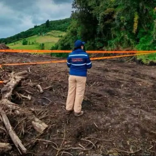 Lo que encontraron las autoridades en un terreno de Guamaní terminó en una de las mayores sanciones ambientales