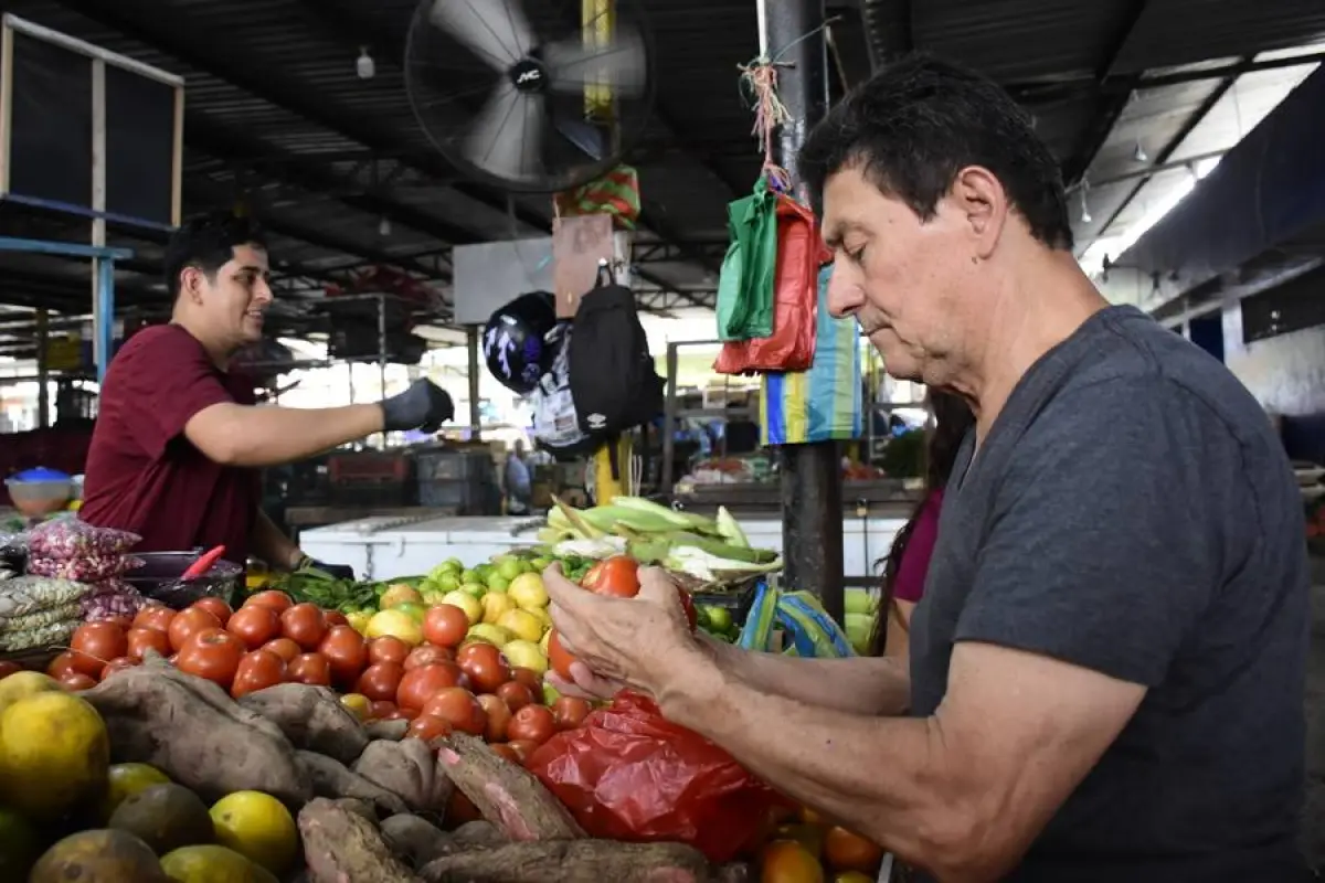 Esta semana en los mercados de Portoviejo, productos como el tomate, la papa y el cilantro registraron un ligero incremento en sus costos.