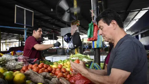 Incremento de precios: tomate, papa y cilantro lideran la subida en mercados en Portoviejo