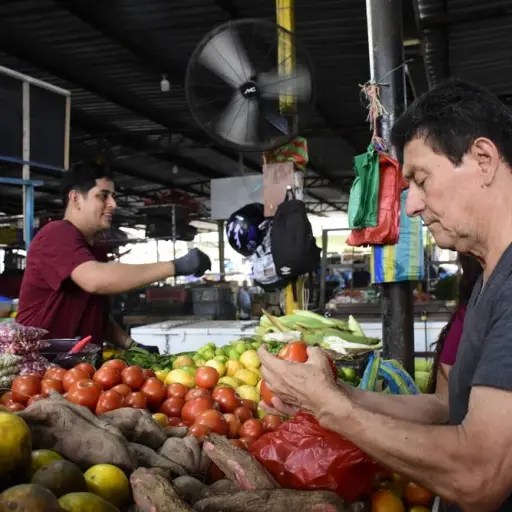 Incremento de precios: tomate, papa y cilantro lideran la subida en mercados en Portoviejo