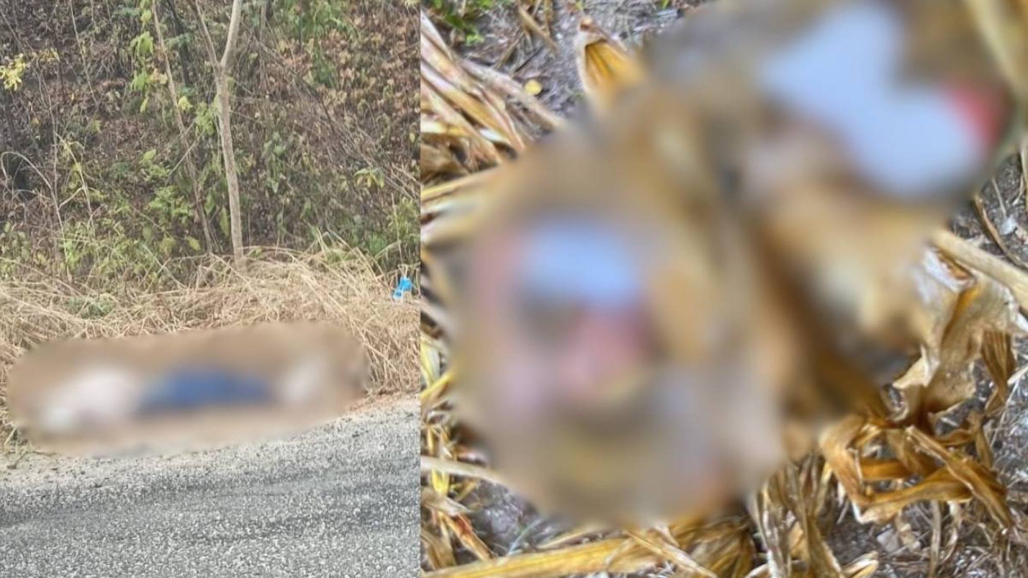 Dos hombres fueron hallados sin vida en distintos sectores d
