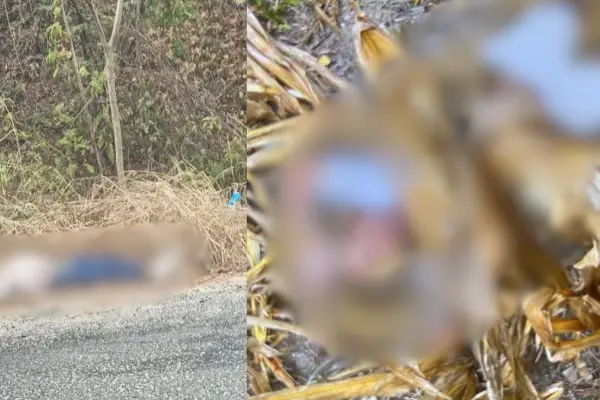 Dos hombres fueron hallados sin vida en distintos sectores del cantón Sucre, Manabí.