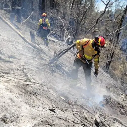 Las nuevas medidas con las que Quito busca reducir al mínimo los incendios forestales en 2026
