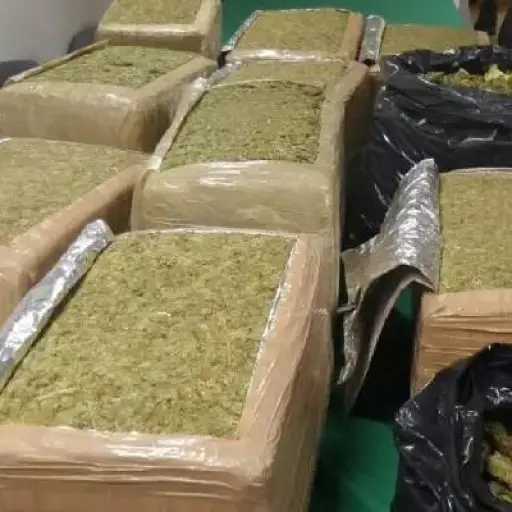 Lo condenan a 22 años de prisión por tráfico de drogas en Saraguro