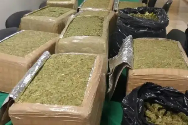 La droga que incautada está bajo custodia policial como evidencia del hecho. ,Cortesía