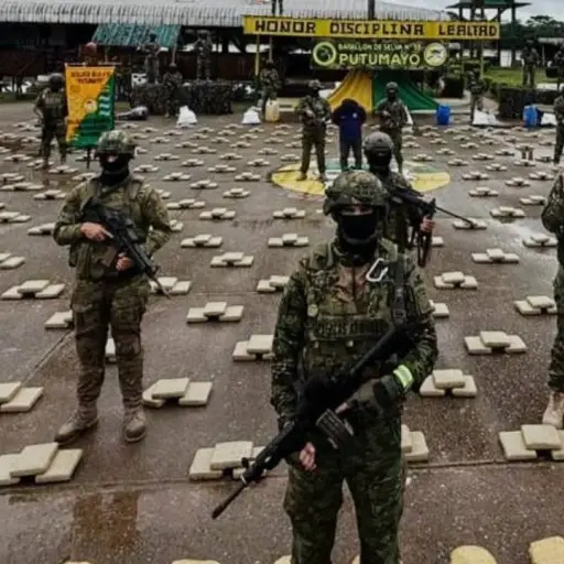 Fuerzas Armadas decomisan 1,4 toneladas de droga en operación en Sucumbíos  