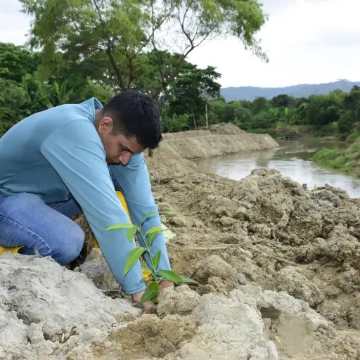 ¿Qué está destruyendo el río Portoviejo y cómo planean las autoridades rescatarlo con urgencia?