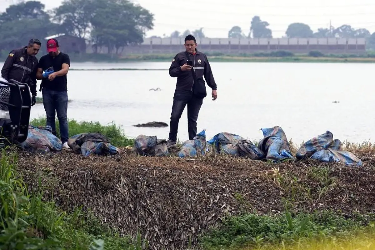 Los cuerpos de los ocho hombres fueron abandonandos en una zona rural de Babahoyo., Foto: Apifoto