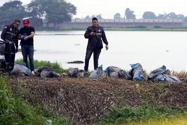 Los cuerpos de los ocho hombres fueron abandonandos en una zona rural de Babahoyo. ,Foto: Apifoto