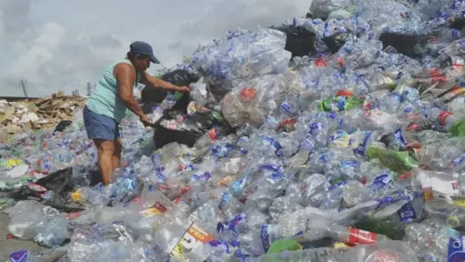 El desafío de los residuos plásticos en las playas panameñas: datos y estrategias nacionales