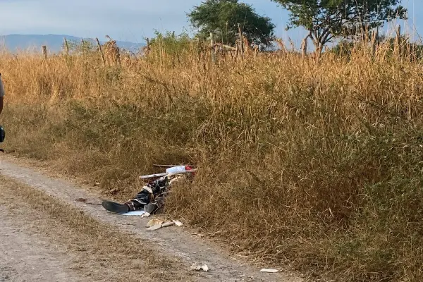 sicariato
