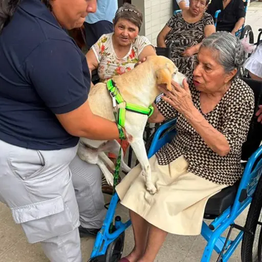 Programa de terapia asistida con perros beneficia a 317 adultos mayores en Guayaquil