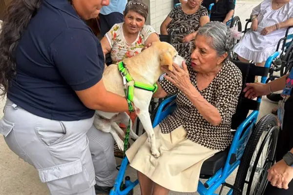 La visita de dos perros cambió la rutina de 317 adultos mayores en Guayaquil