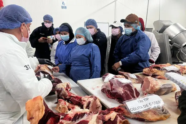 Santo Domingo alista una ruta turística para mostrar toda la cadena productiva de la carne