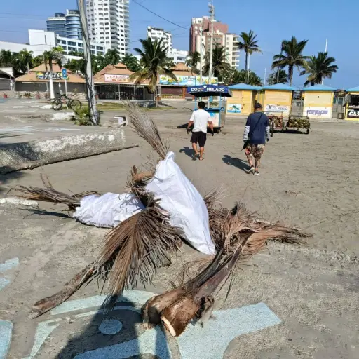 Manta inicia Semana del Ambiente con mingas en playas y más de 35 actividades hasta el 6 de junio  