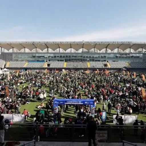 Más de 8 mil personas se reunieron en un estadio de Chile para el intercambio masivo de figuritas del Mundial