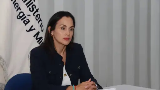 Bancada de la Revolución Ciudadana solicita que el juicio político contra Inés Manzano sea resuelto por el Pleno de la Asamblea
