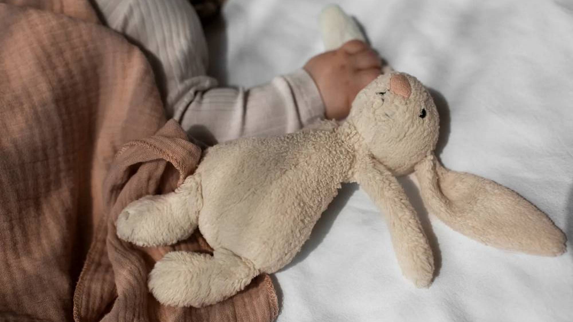 Objetos de apego en la infancia: qué son, cómo influyen en e